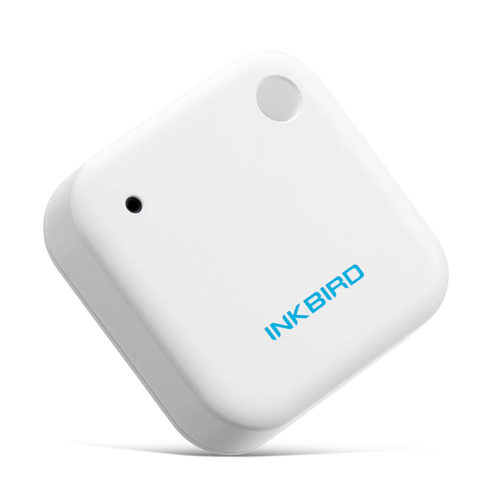 Bluetooth Temperature Sensor IBS-TH2