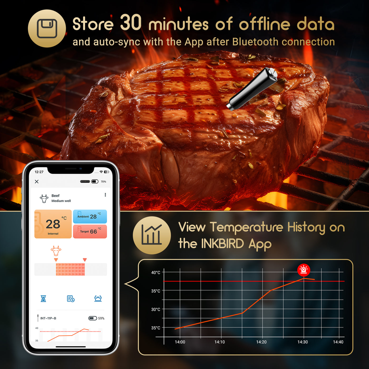 INKBIRD Bluetooth 2-in-1 Truly Wireless Meat Thermometer INT-11P-B ...