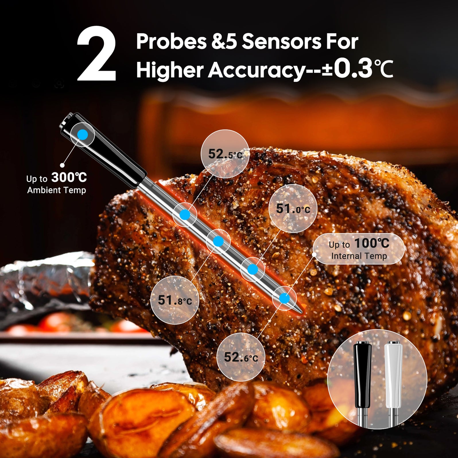 INKBIRD Wireless Wifi Bluetooth Multi-Sensor Meat Thermometer INT-12E ...