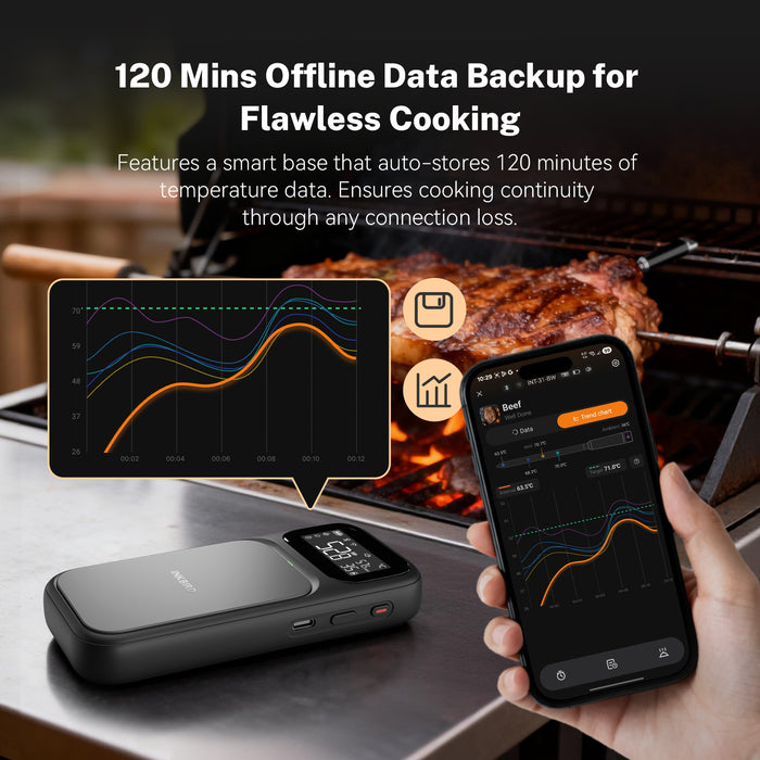 INKBIRD INT-31-BW Wireless Meat Thermometer