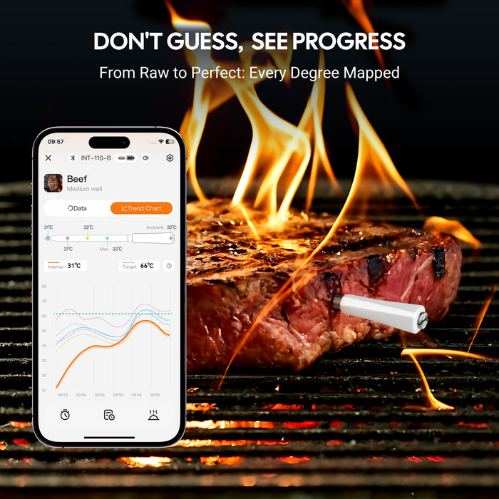 INKBIRD INT-11S-B Bluetooth Meat Thermometer with Ultra Accurate Multi-sensor Meat Probe