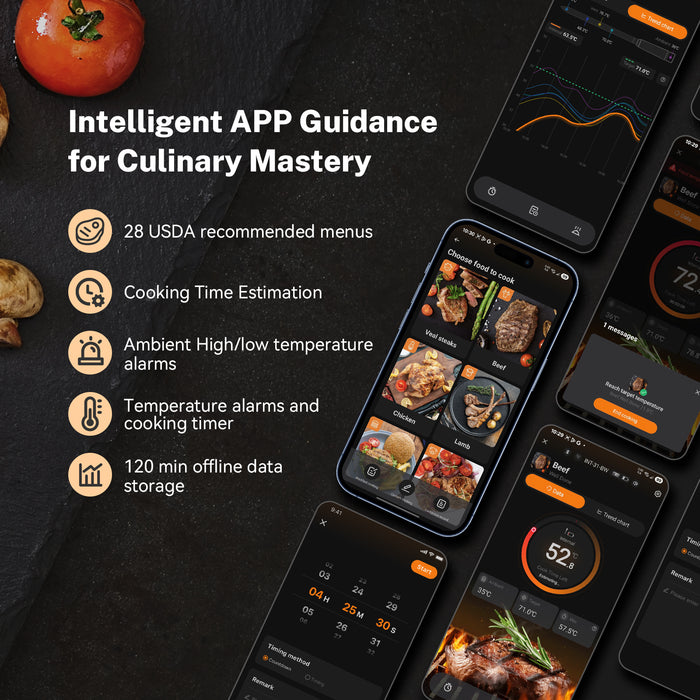INKBIRD INT-31-BW Wireless Meat Thermometer