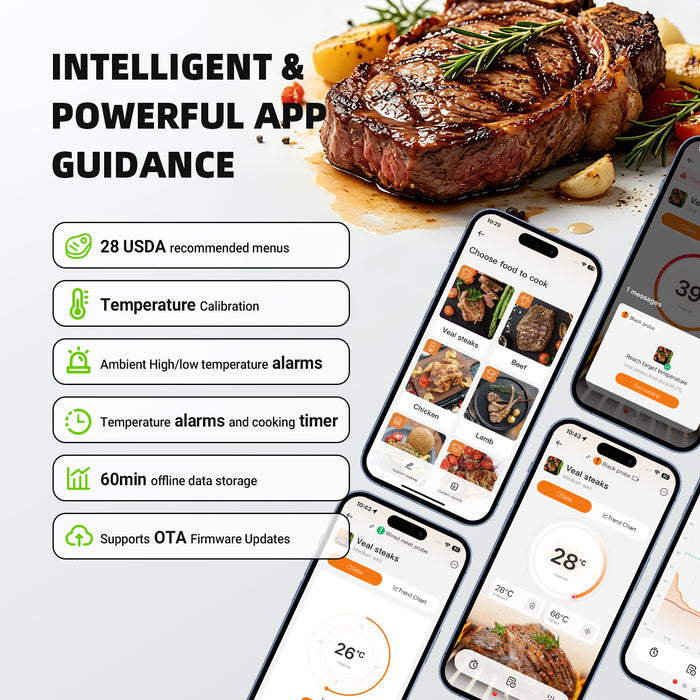 INKBIRD INDT-33-B Wireless & Wired BBQ Thermometer