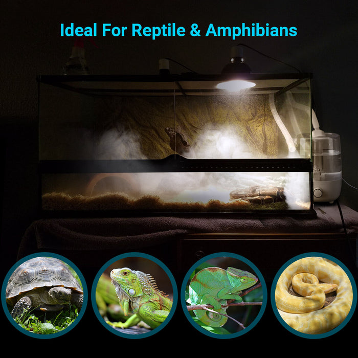 INKBIRDPLUS Reptile Humidifier Fogger with 4L Water Tank