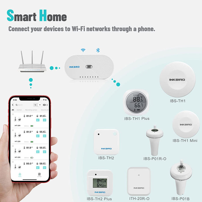 Wi-Fi Gateway IBS-M1